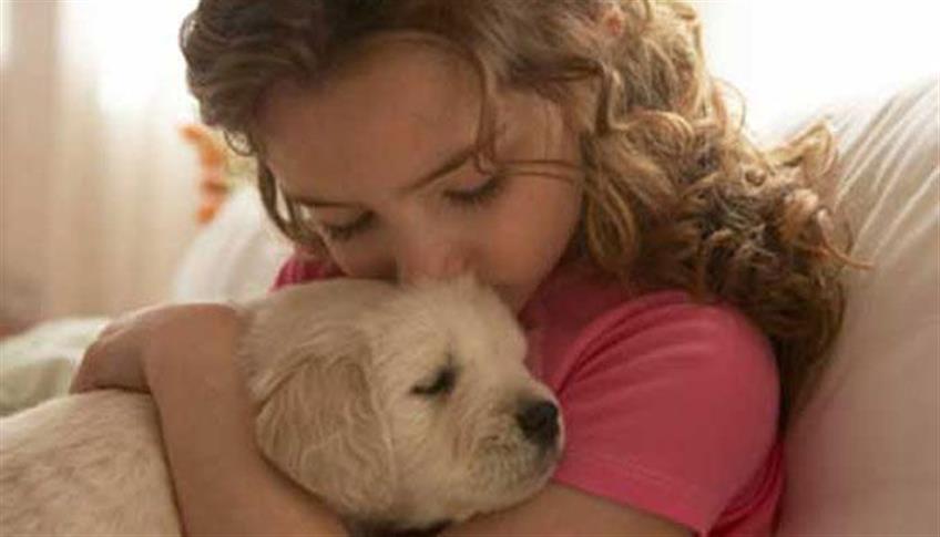 Gli animali sono sempre più vicini e amici dell'uomo. Gli animali sono sempre più vicini e amici dell'uomo.